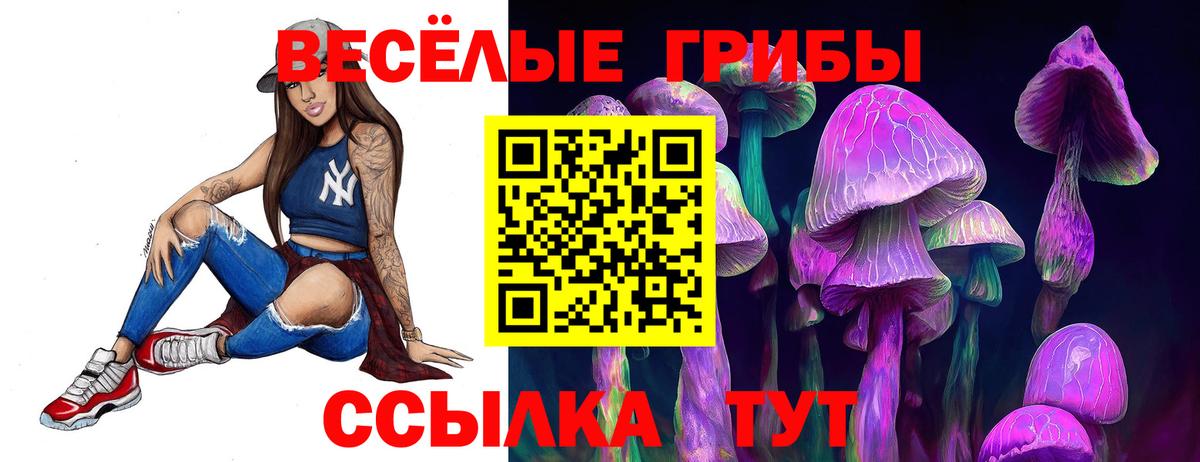 Псилоцибиновые грибы GOLDEN TEACHER Волгоград
