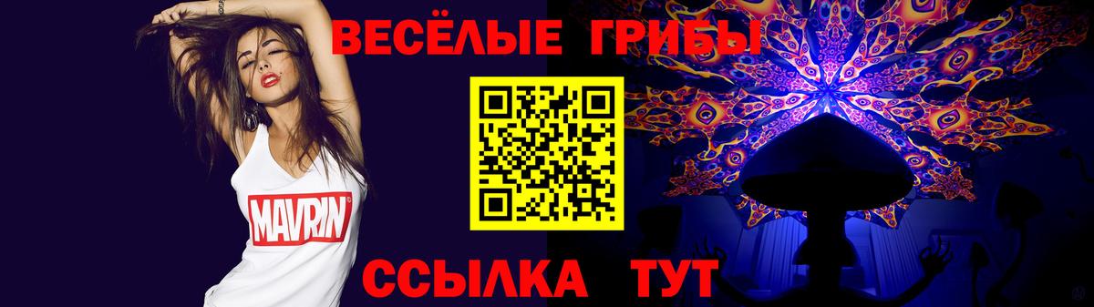 Галлюциногенные грибы MAGIC MUSHROOMS  Вход с VPN  Галлюциногенные грибы мицелий  Волгоград 